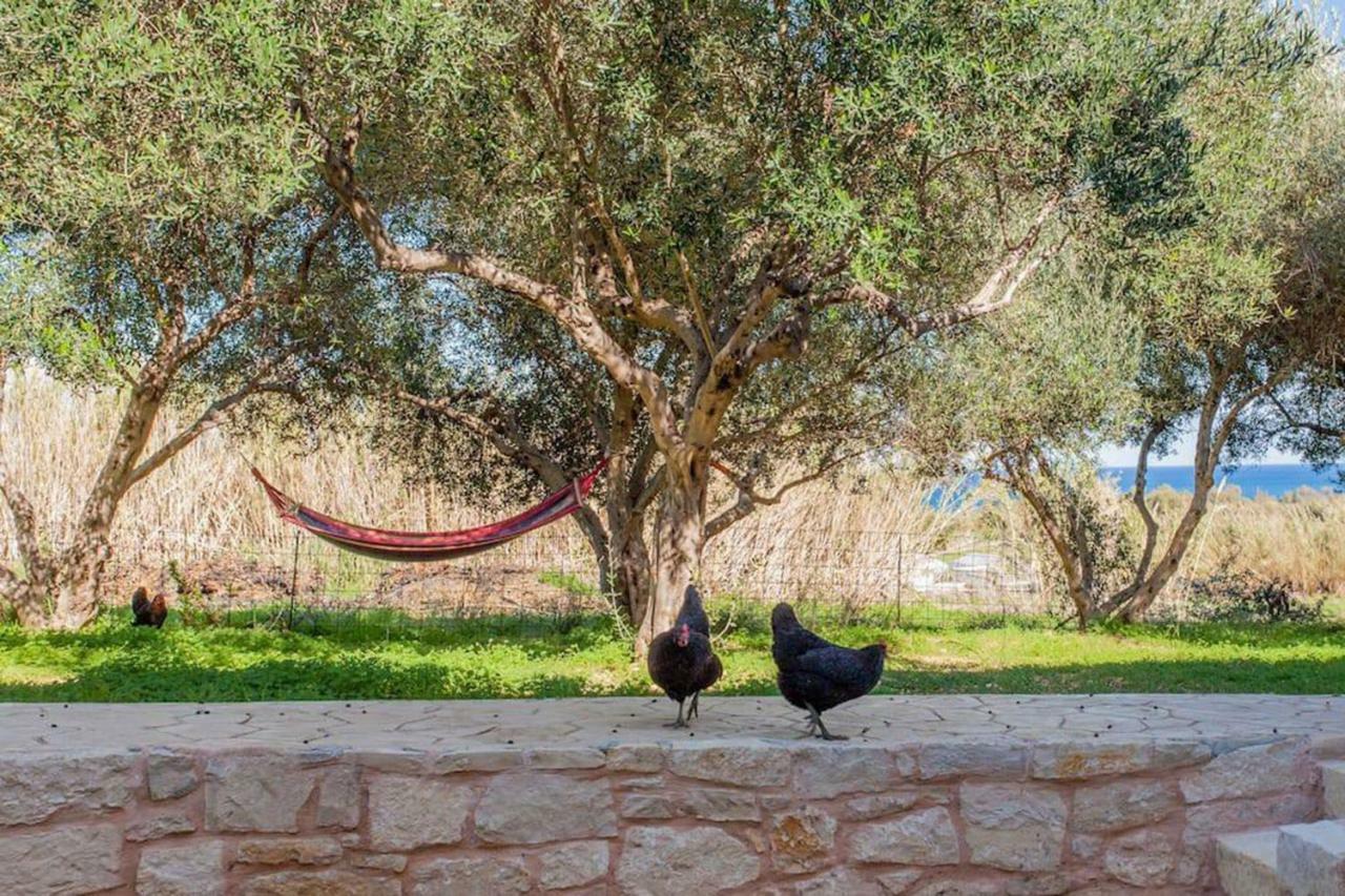 Episkopi-Chania Olive Tree Farm 200M From The Beach מראה חיצוני תמונה