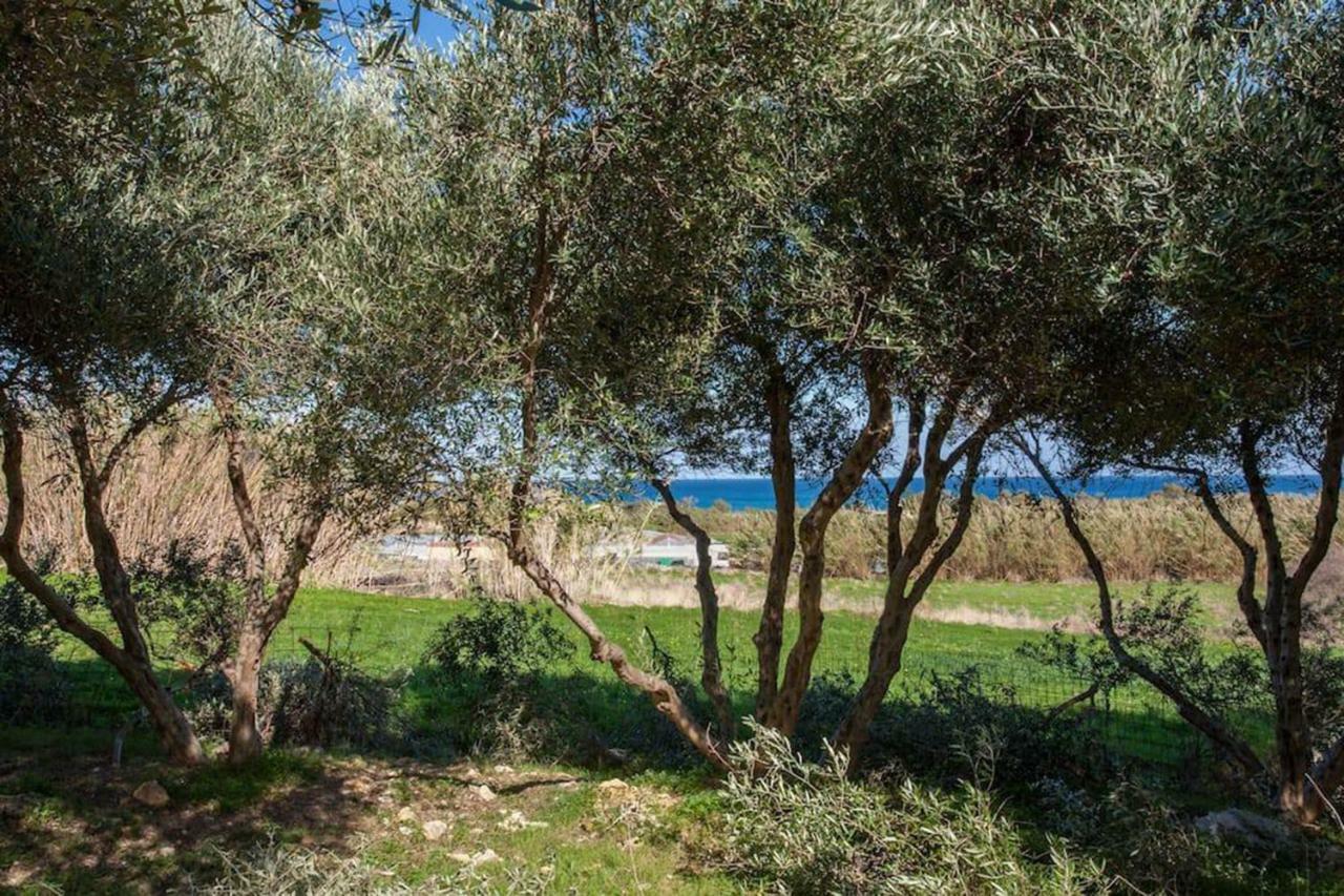 Episkopi-Chania Olive Tree Farm 200M From The Beach מראה חיצוני תמונה