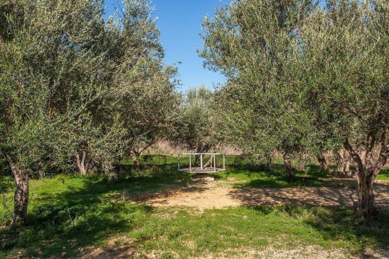 Episkopi-Chania Olive Tree Farm 200M From The Beach מראה חיצוני תמונה