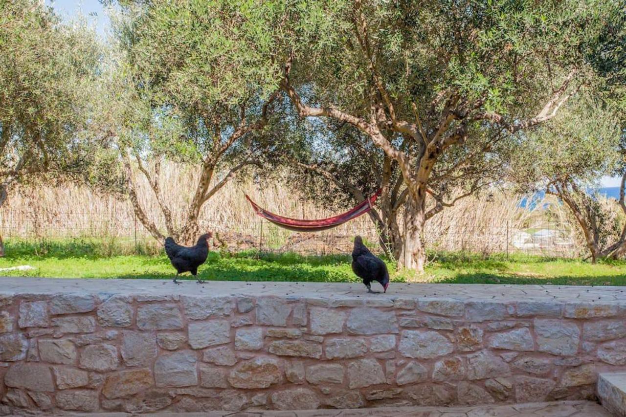 Episkopi-Chania Olive Tree Farm 200M From The Beach מראה חיצוני תמונה
